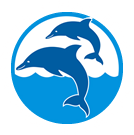 Dolphin's Playground